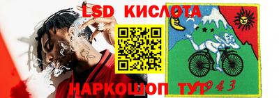 твердый Гусев