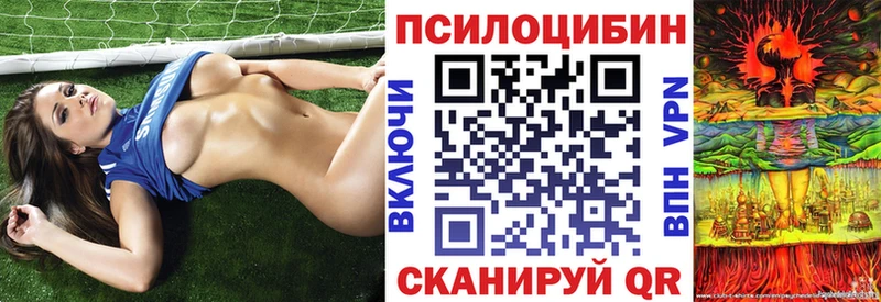 цена   Фролово  Галлюциногенные грибы Magic Shrooms 