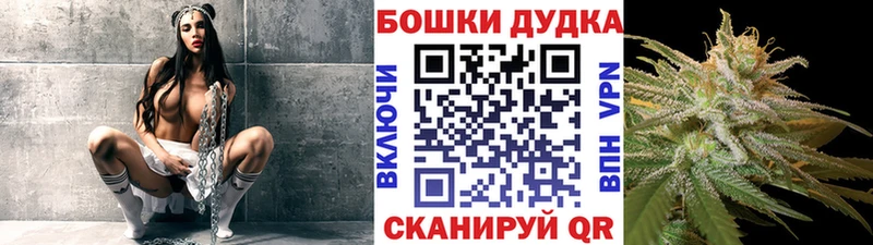 kraken ссылки  Фролово  Каннабис план 