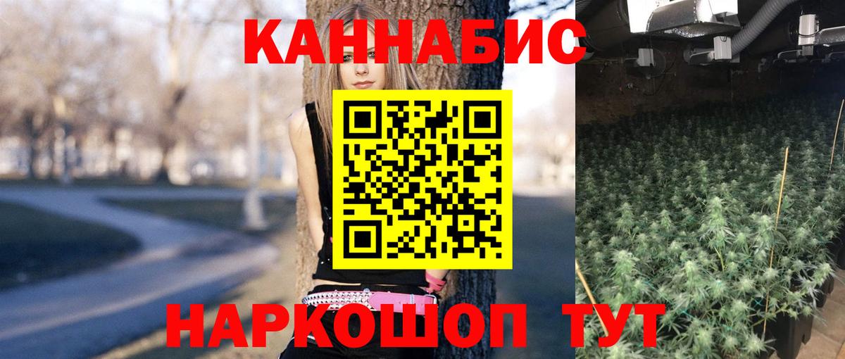 Фролово  Шишки марихуана Amnesia  Конопля Amnesia  Вход с VPN  Бошки Шишки семена 
