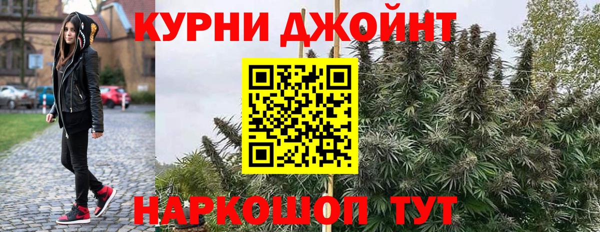 Бошки Шишки конопля Фролово